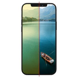 InvisibleShield Glass Elite VisionGuard+ Apple 1 pieza(s)