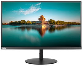 Lenovo ThinkVision P27h 68,6 cm (27