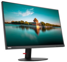 Lenovo ThinkVision P27h 68,6 cm (27