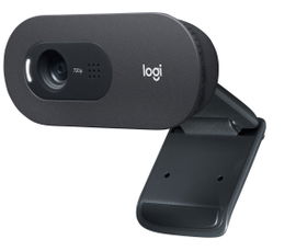 Logitech C505e - Webcam - color - 720p - focal fijado - audio - USB Logitech C505e - Webcam - color - 720p - focal fijado - audio - USB