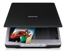 Epson Perfection V19 Escáner de cama plana 4800 х 4800 A4 Negro