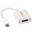 StarTech.com Adaptador Gráfico Externo USB-C a DisplayPort - Conversor de Vídeo Type-C a DP 4K 60Hz - Blanco