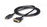 StarTech.com Cable 1,8m Adaptador de Vídeo DisplayPort a DVI - Conversor DP - Hasta 1920x1200 - Pasivo
