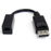 StarTech.com Cable de 15cm Adaptador DisplayPort Macho a Mini DisplayPort Hembra - DP a Mini DP - Negro