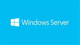 Microsoft Windows Server Essentials 2019 1 licencia(s)