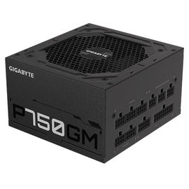 Gigabyte P750GM - Fuente de alimentación (interna) - ATX12V 2.31 - 80 PLUS Gold - CA 100-240 V - 750 vatios - PFC activa