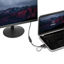 StarTech.com 4K 30Hz HDMI to DisplayPort Video Adapter w/ USB Power - 6 in - HDMI 1.4 (Male) to DP 1.2 (Female) Active Monitor Converter (HD2DP) - Cable adaptador - HDMI, USB (solo alimentación) macho a DisplayPort hembra - 25.5 cm - negro - activo, 