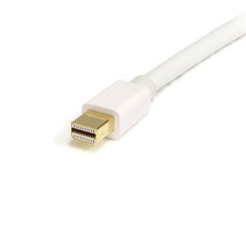 StarTech.com Cable Adaptador de 2m de Monitor Mini DisplayPort 1.2 Macho a DP Macho - 4k Blanco