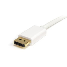 StarTech.com Cable Adaptador de 2m de Monitor Mini DisplayPort 1.2 Macho a DP Macho - 4k Blanco