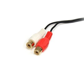 StarTech.com 6ft 3.5mm - 2x RCA cable de audio 1,8 m 3,5mm 2 x RCA Negro