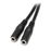 StarTech.com Adaptador Divisor de Auriculares Mini-Jack 3,5mm 3 pines Macho a 2x Mini-Jack 3 pines Hembra