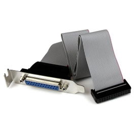 StarTech.com Adaptador de 40cm Header Cabezal Bracket Paralelo Perfil Bajo DB25 a IDC26 Pines Placa Base StarTech.com Adaptador de 40cm Header Cabezal Bracket Paralelo Perfil Bajo DB25 a IDC26 Pines Placa Base