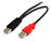 StarTech.com USB2HABMY1 cable USB 0,3 m USB A Mini-USB B Negro