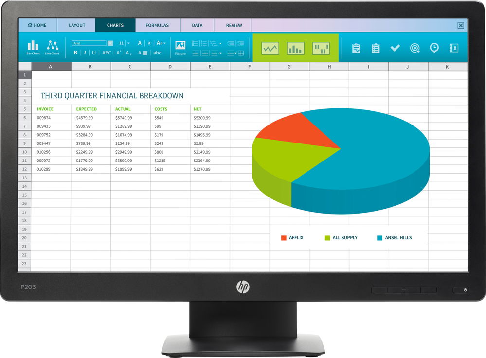 HP ProDisplay P203 50,8 cm (20