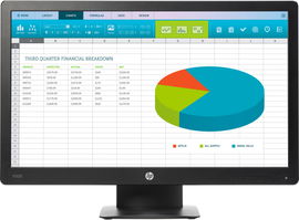 HP ProDisplay P203 50,8 cm (20