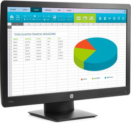 HP ProDisplay P203 50,8 cm (20