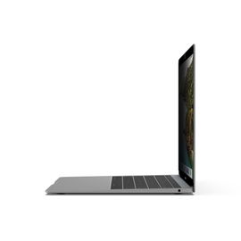 Belkin ScreenForce - Filtro de privacidad para portátil - extraíble - 13