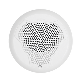 White speaker for ceiling installation