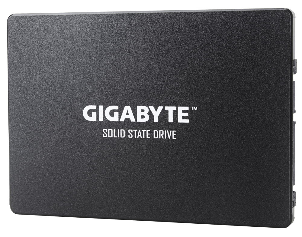 Gigabyte GP-GSTFS31120GNTD unidad de estado sólido 2.5
