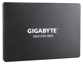 Gigabyte GP-GSTFS31120GNTD unidad de estado sólido 2.5