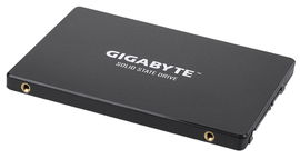 Gigabyte GP-GSTFS31120GNTD unidad de estado sólido 2.5