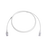 Patch Cord MC6 Modular Cat6 UTP, CM/LS0H, 5ft, Color Blanco, Diámetro Reducido (28AWG), Versión Bulk (Sin Empaque Individual)