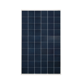 Módulo Fotovoltaico Policristalino 260 W 24 Vcd