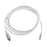 Patch Cord TERA Cat6A 1/10G Ethernet, de 4 pares y conector modular, LS0H, Color Marfil, 10m