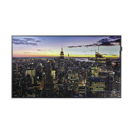 Pantalla Profesional LED de 55