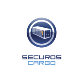 Licencia de Reconocimiento de Número de Contenedor SecurOS CARGO, por flujo de Cámara
