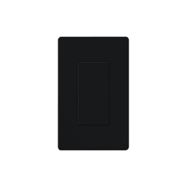 Placa ciega color negro.