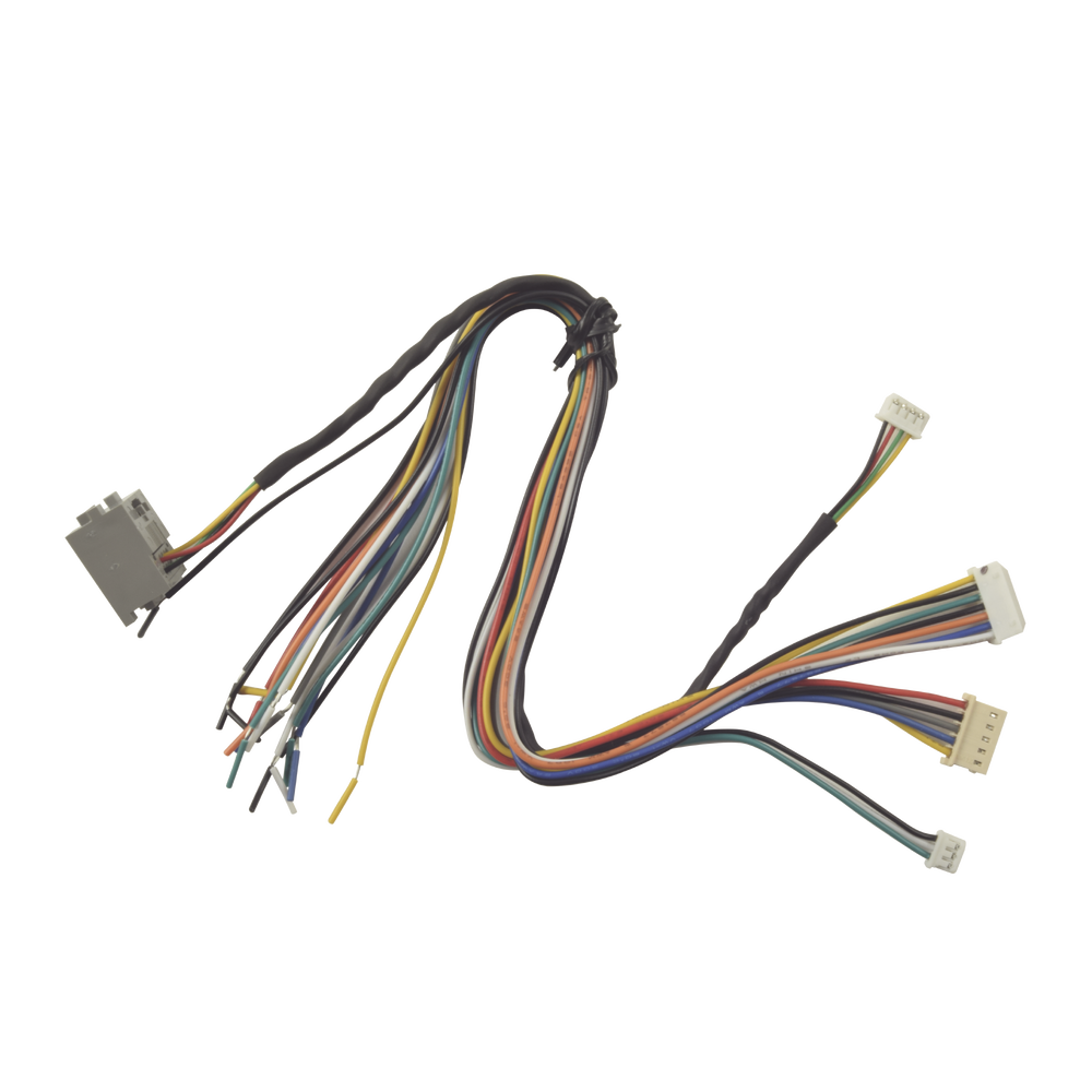 Juego de cables de conexion para Bioentry  plus
