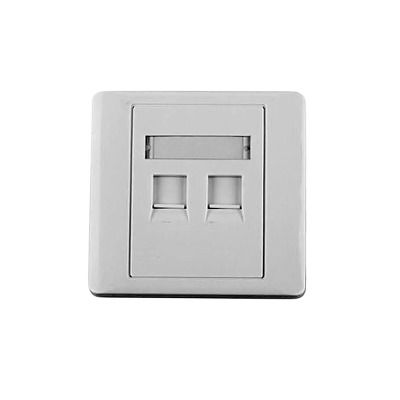 Tapa de pared, salida para dos puertos, con espacio para etiqueta - Blanco Tapa de pared, salida para dos puertos, con espacio para etiqueta - Blanco