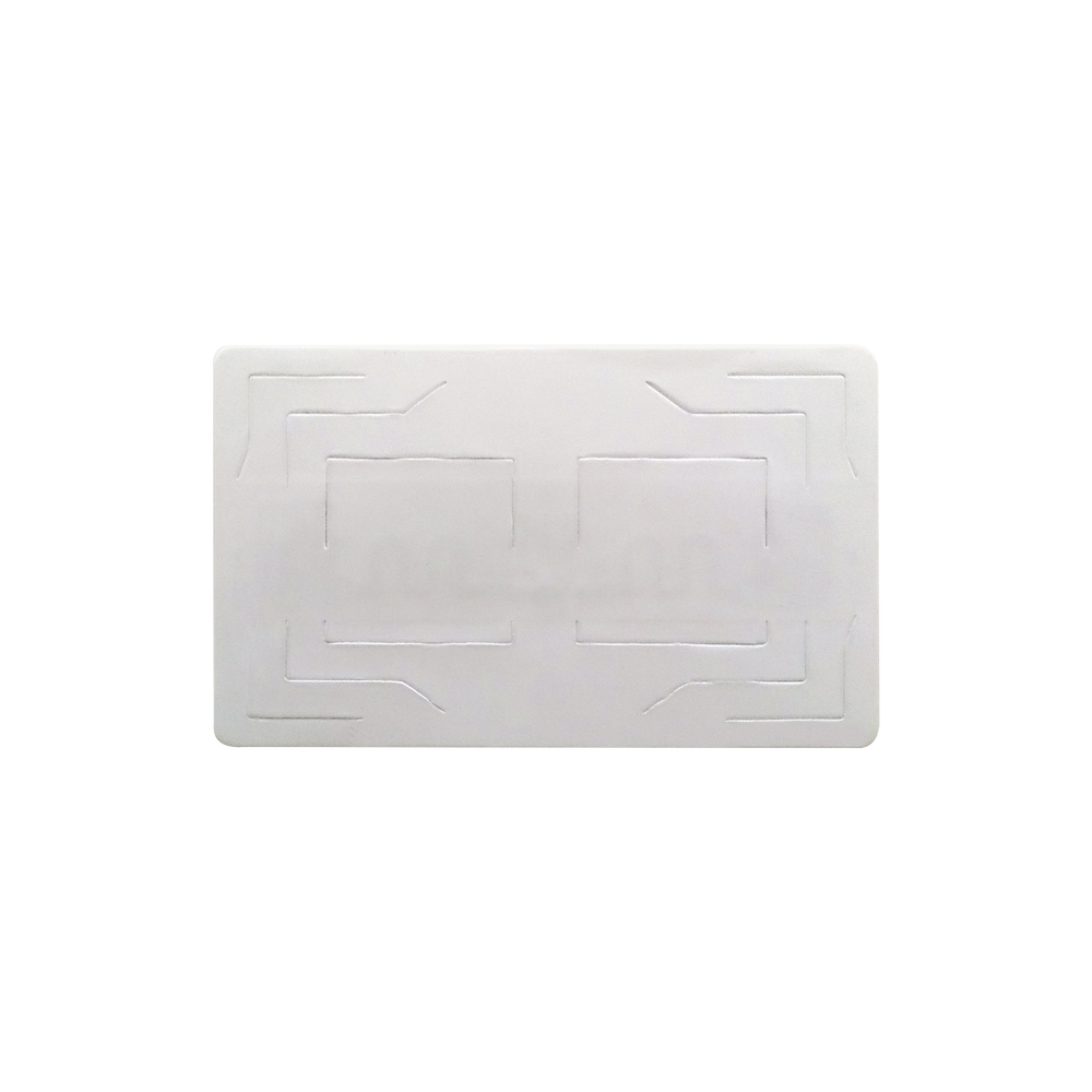 Tag Adherible RFID para Automóvil EPC GEN2 /paquete con 100 Tags
