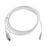 Patch Cord TERA Cat6A 1/10G Ethernet, de 4 pares y conector modular, LS0H, Color Marfil, 3m