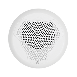 White speaker for ceiling installation