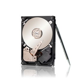 SV35.6 Series™ SATA Hard Drive 3TB