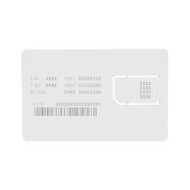 RENOVACION POR UN AÑO DE SERVICIO PARA SIM25MB