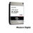 DD DISCO DURO 12TB SATA WD ULTRASTAR DC HC520 HUH721212ALE604 ESPECIAL PARA NAS, CLOUD SERVERS, BIGDATA, GOBIERNO, CORPORATIVOS Y DATA CENTERS