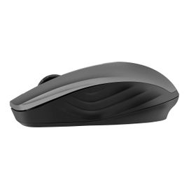 Mouse inalámbrico 1000 DPI Mouse inalámbrico 1000 DPI