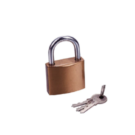 Candado de Latón Cuerpo 40 x 40 mm Con 3 Llaves. Diam. de Perno: 6.2 mm