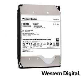 DD DISCO DURO 10TB 3.5