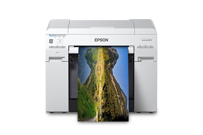 Epson SURELAB D870 - Standard Edition - impresora - color - chorro de tinta - 203.2 x 508 mm - 1.440 x 720 ppp - USB 2.0 - cortador