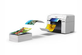 Epson SURELAB D870 - Standard Edition - impresora - color - chorro de tinta - 203.2 x 508 mm - 1.440 x 720 ppp - USB 2.0 - cortador