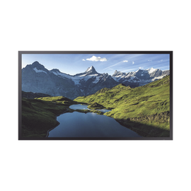Pantalla Profesional LED 55