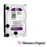 WD Purple WD30PURZ - Disco duro - 3 TB - interno - 3.5