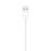 Cable Lightning - Lightning Macho A USB Macho - 1 M - Para IPad/IPhone/IPod - Apple