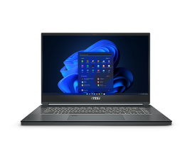 MSI WS66 10TK 080 
