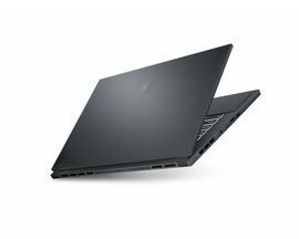 MSI WS66 10TK 080 