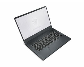 MSI WS66 10TK 080 